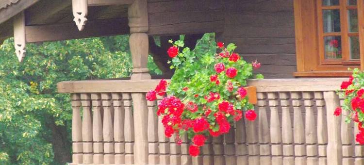 Posthof度假旅馆(Ferienpension Posthof)图片