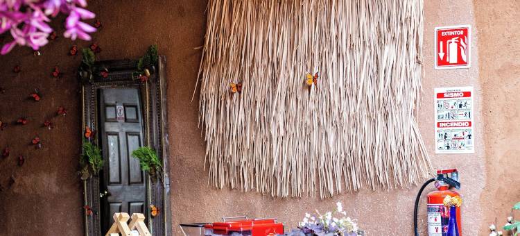 Posada El Palomar图片