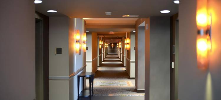 莫希根宾夕法尼亚-仅限大人(Mohegan Pennsylvania - Adults Only)图片