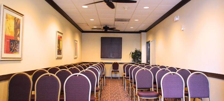 康福特套房布什洲际机场酒店(Comfort Suites Bush InterContinental Airport)图片