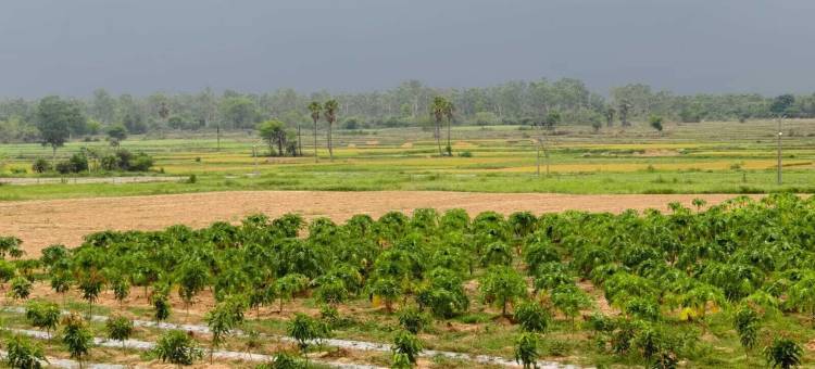 位于比什努布尔的3卧室-平方米|带3个独立浴室(Aranya Bithi)图片