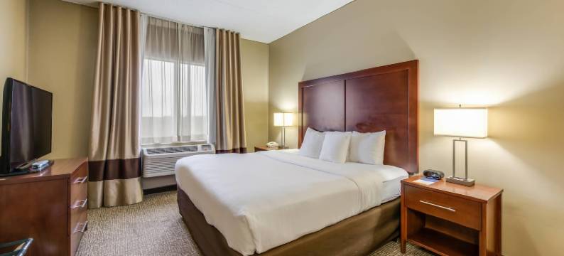 芝加哥奥黑尔机场舒适套房酒店(Comfort Suites Chicago O'Hare Airport)图片