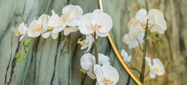 GuestReady - Momento de relaxar na cidade vibrante图片