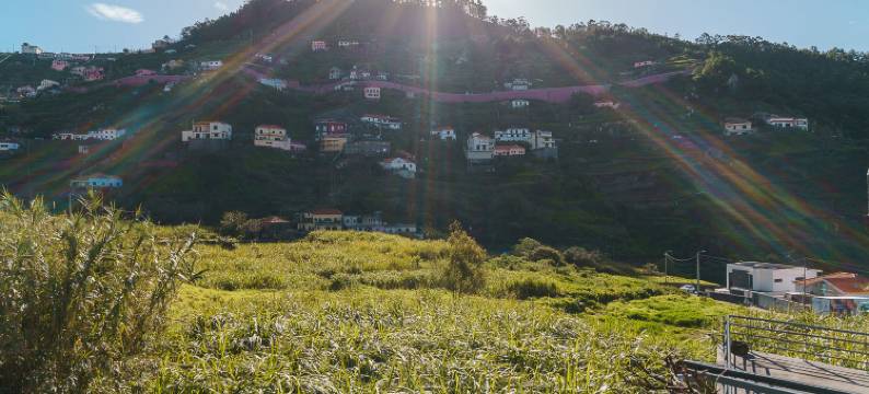 A lovely home in a quiet area图片