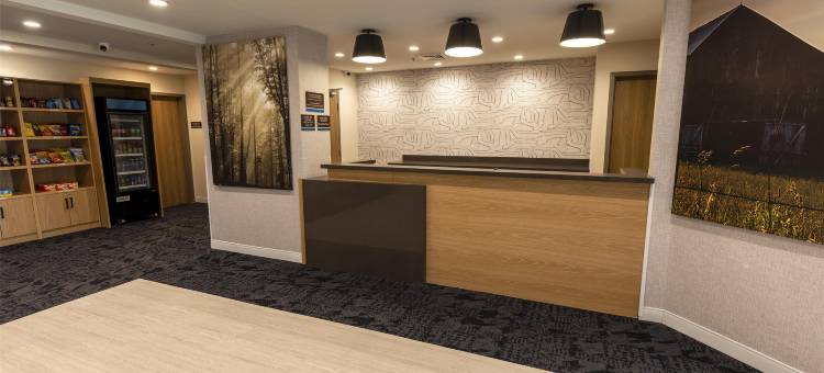 Sonesta ES Suites 拉斐特机场长住酒店(Sonesta ES Suites Lafayette Airport Extended Stay)图片