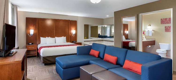 舒适套房酒店-乌尔班纳香槟大学城(Comfort Suites Urbana Champaign, University Area)图片