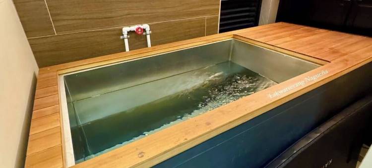 大道广场酒店(The Avenue Plaza Hotel)图片