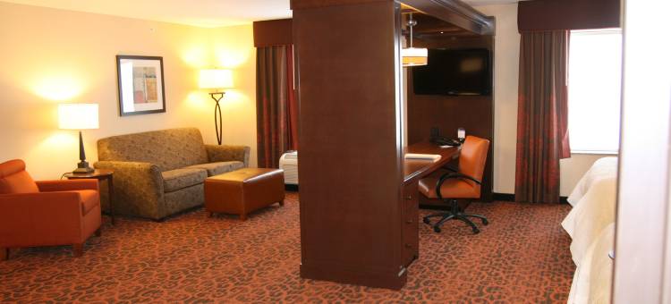 秘鲁希尔顿欢朋旅馆&套房酒店(Hampton Inn & Suites Peru)图片