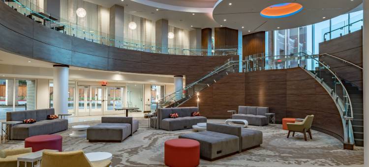 达拉斯希尔顿花园酒店-赫斯特会议中心(Hilton Garden Inn Dallas - at Hurst Conference Center)图片