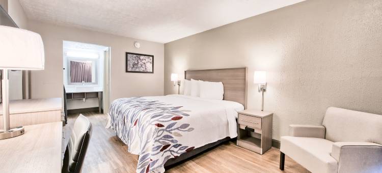 代顿莫瑞恩代顿大学红顶酒店(Red Roof Inn Dayton - Moraine/U of Dayton)图片