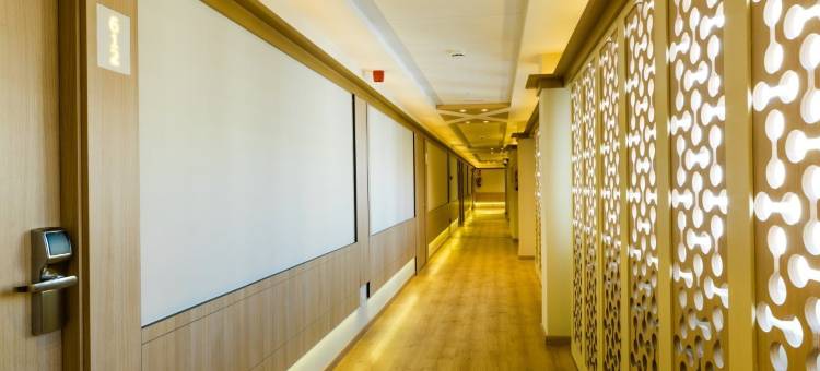 米娜埃尔罗德奥酒店(Hotel Monarque El Rodeo)图片