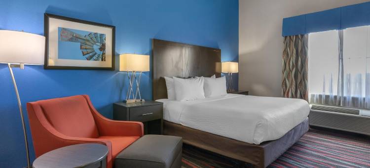 科技医疗中心贝斯特韦斯特优质酒店(Best Western Plus Tech Medical Center Inn)图片