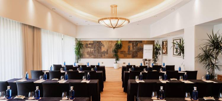 唐佩普盛美利亚酒店(Hotel Don Pepe Gran Meliá)图片