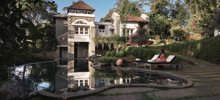 香料树Rajakumari(SpiceTree Rajakumari)图片