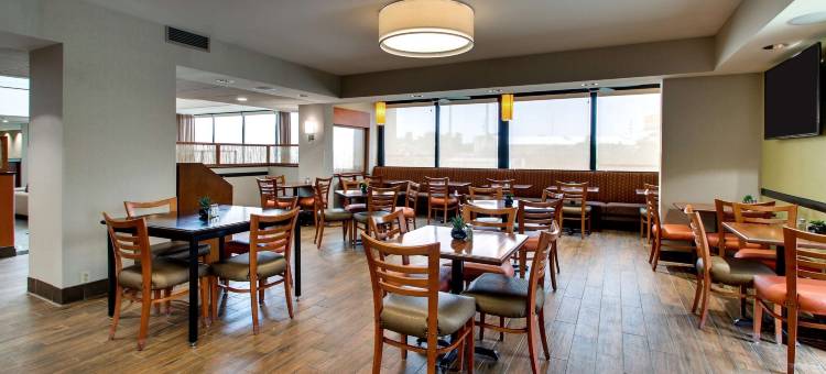 博林格林德鲁里套房酒店(Drury Inn & Suites Bowling Green)图片