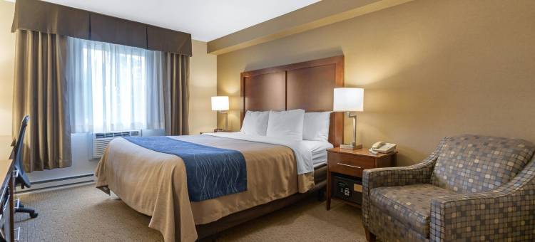 铁山北部的舒适酒店(Comfort Inn)图片