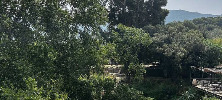 乌穆利努旅馆(Auberge U Mulinu)图片