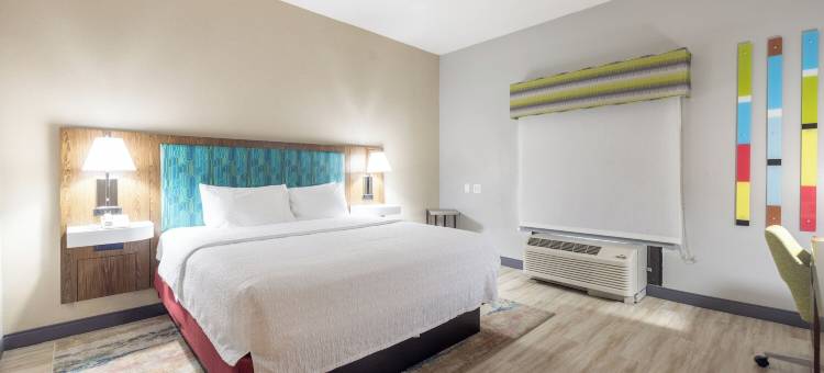 希尔顿欢朋酒店-达德市泽弗希尔斯(Hampton Inn Dade City - Zephyrhills)图片