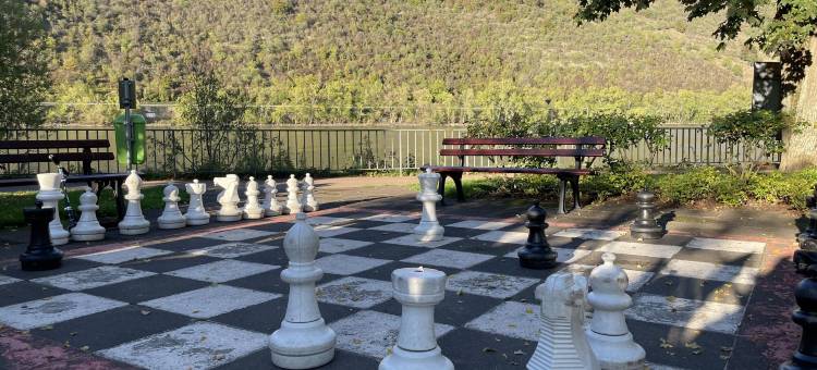 莱茵鲁斯特酒店(Hotel Rheinlust)图片