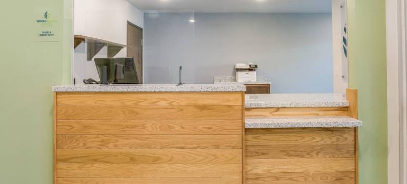 伍德斯普林套房底特律农场山(WoodSpring Suites Detroit Farmington Hills)图片