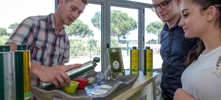 佩皮尼昂里沃萨尔特诺富特酒店(Novotel Perpignan Rivesaltes)图片