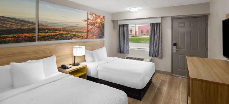 西维吉尼亚查理斯顿戴斯酒店(Days Inn by Wyndham Charleston WV)图片