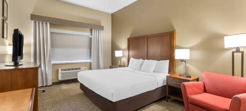 舒适酒店-近奥格登活动中心(Comfort Inn Ogden Near Event Center)图片