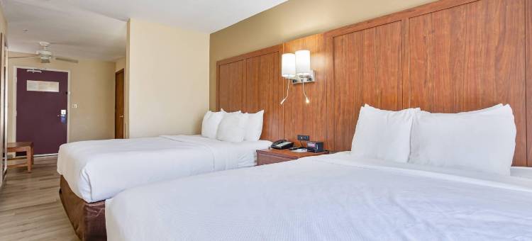 蒙哥马利东卡迈克尔路舒适套房酒店(Comfort Inn & Suites Montgomery East Carmichael Rd)图片