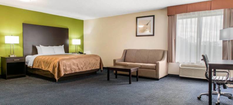 安德森I-69凯艺套房酒店(Quality Inn & Suites Anderson I-69)图片