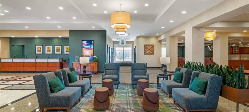 Drury Plaza 酒店圣路易斯布伦特伍德(Drury Plaza Hotel St Louis Brentwood)图片