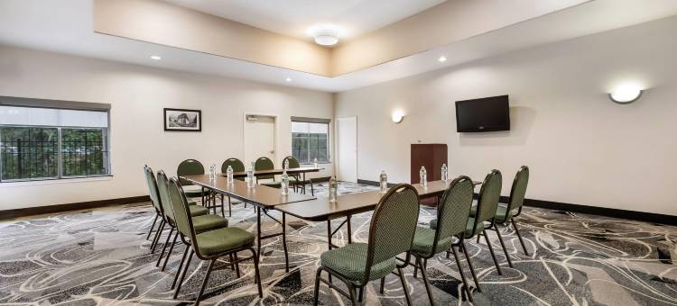 阿尔文拉昆塔温德姆套房酒店(La Quinta Inn & Suites by Wyndham Alvin)图片
