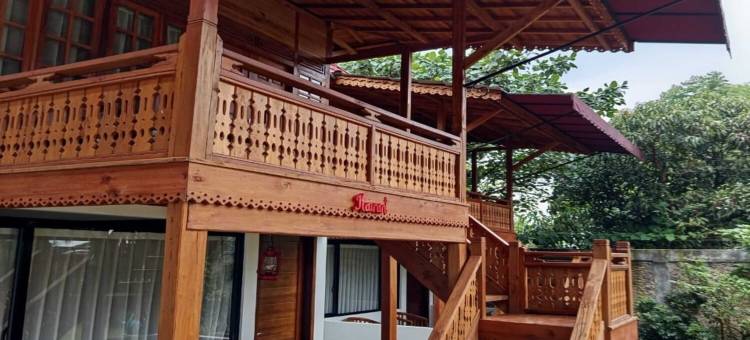 桑特里村别墅(Villa Kampung Santri)图片