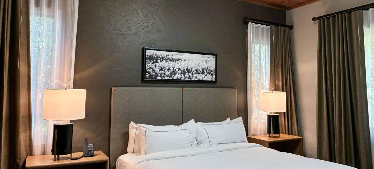 希尔顿俱乐部石水湾壳钮布度假村(Hilton Grand Vacations Club Stonewater Cove Shell Knob)图片