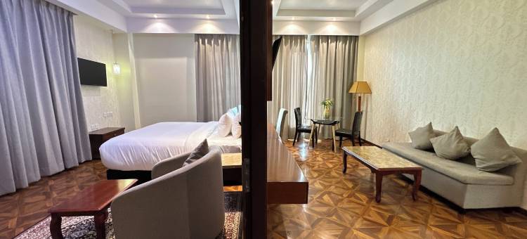 金色郁金香酒店库卡斯齐普尔(Golden Tulip Kukas Jaipur)图片
