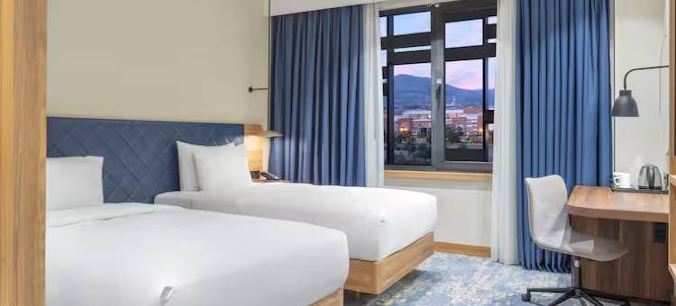 埃尔祖鲁姆希尔顿花园酒店(Hilton Garden Inn Erzurum)图片