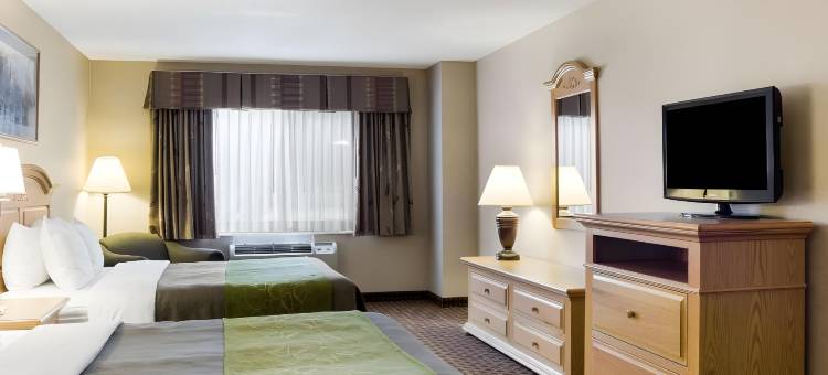 舒适套房酒店(Comfort Inn & Suites)图片
