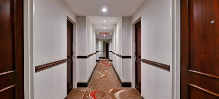 城市小屋酒店-约翰内斯堡桑顿晨兴(City Lodge Hotel Sandton, Morningside)图片