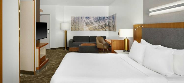 罗穆勒斯底特律都会机场万豪SpringHill酒店(SpringHill Suites Detroit Metro Airport Romulus)图片