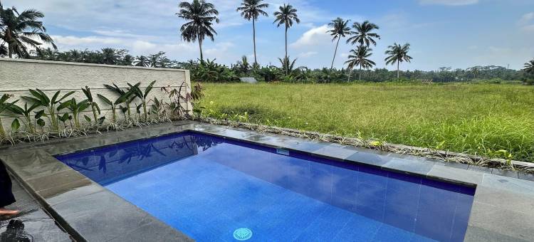 文斯乌布别墅(Vince Ubud Villas)图片