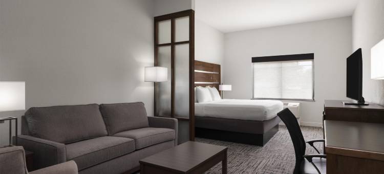 克利奇站贝斯特韦斯特优质套房酒店(Best Western Plus College Station Inn  Suites)图片