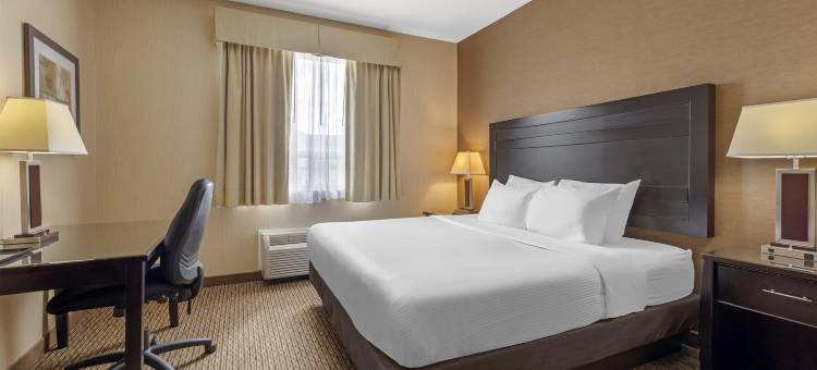 埃斯特万贝斯特韦斯特优质套房酒店(Best Western Plus Estevan Inn  Suites)图片