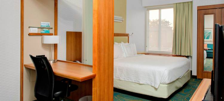 奥古斯塔SpringHill Suites酒店(SpringHill Suites Augusta)图片