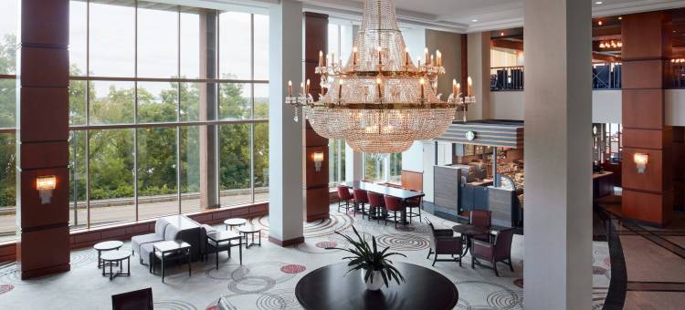 尼亚加拉瀑布城万豪瀑景水疗酒店(Niagara Falls Marriott Fallsview Hotel & Spa)图片