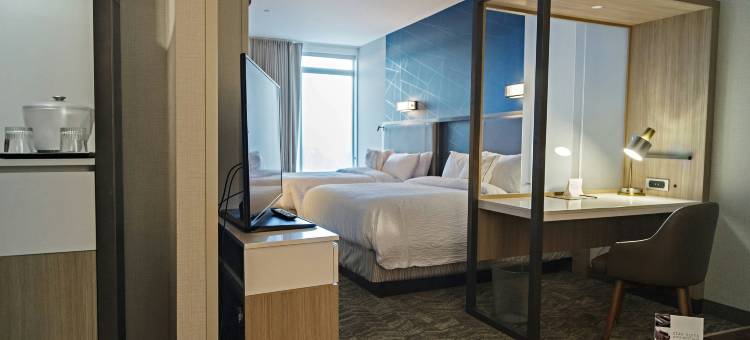 萨默塞特县Franklin Township SpringHill Suites酒店(SpringHill Suites Somerset Franklin Township)图片