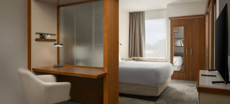 沃里斯芒特劳雷尔/樱桃山万豪SpringHill Suites 酒店(SpringHill Suites Voorhees Mt. Laurel/Cherry Hill)图片
