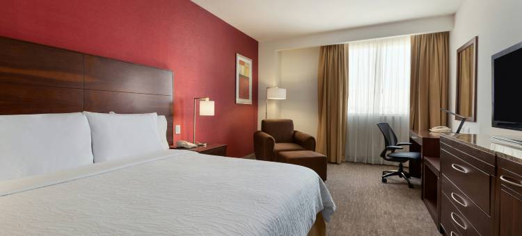 奎雷塔罗希尔顿花园酒店(Hilton Garden Inn Queretaro)图片