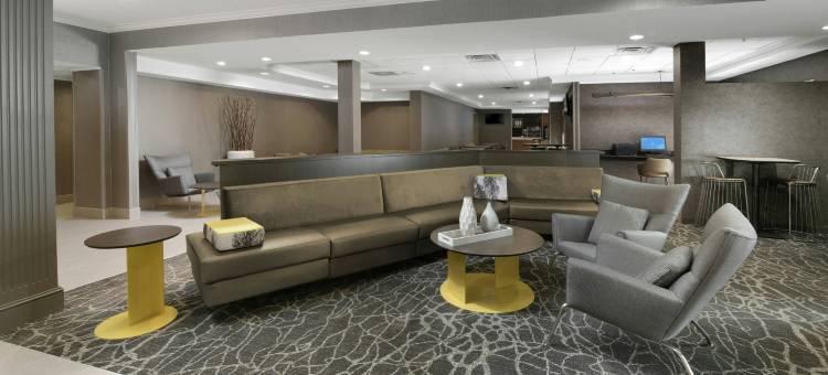 达拉斯艾迪生/Quorum路SpringHill Suites酒店(SpringHill Suites Dallas Addison/Quorum Drive)图片