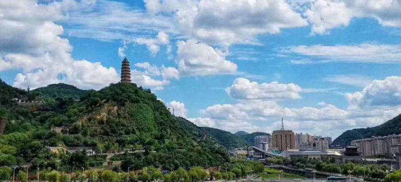 延安康乐苑主题酒店图片