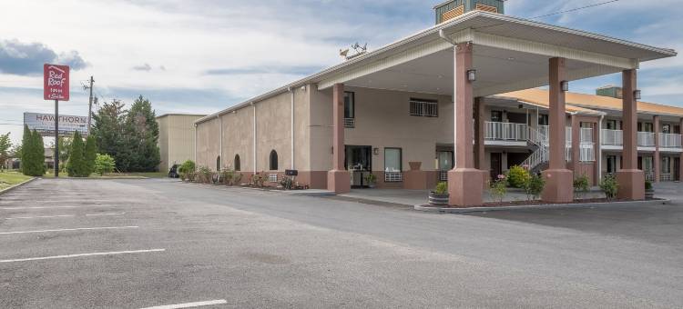 罗马红顶套房酒店(Red Roof Inn & Suites Rome)图片