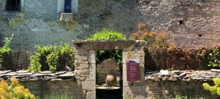 Côté-Serein - Domaine de Venoise图片
